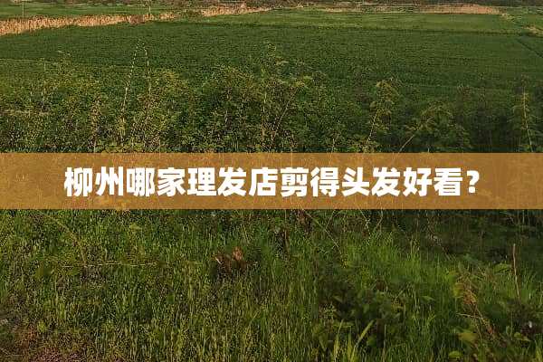 柳州哪家理发店剪得头发好看？