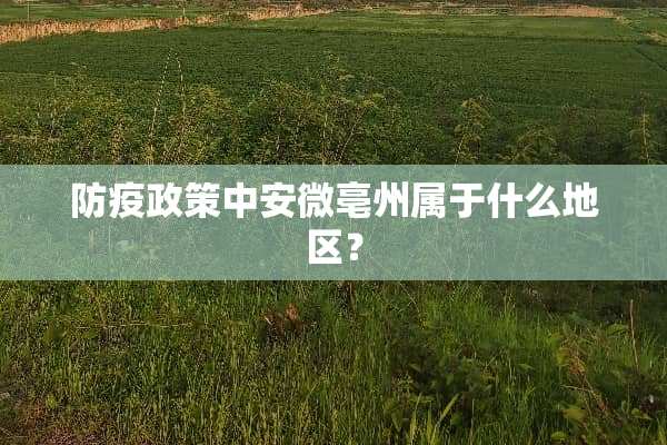 防疫政策中安微亳州属于什么地区？