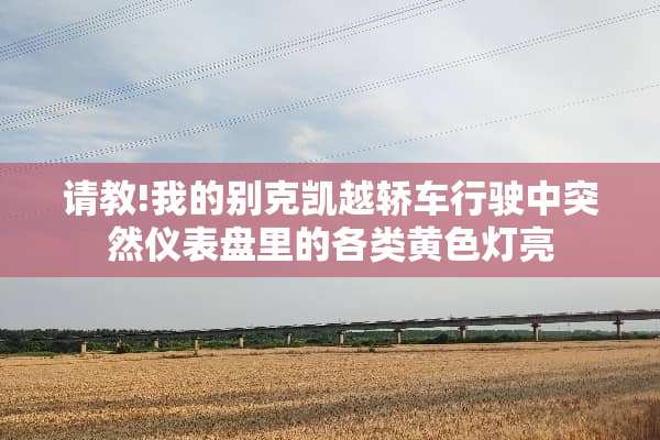 请教!我的别克凯越轿车行驶中突然仪表盘里的各类**灯亮
