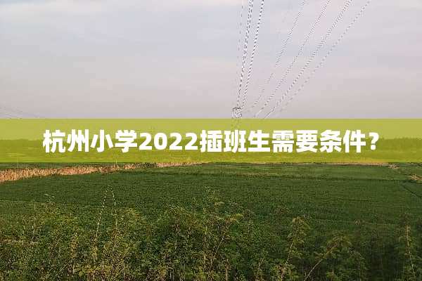 杭州小学2022插班生需要条件？