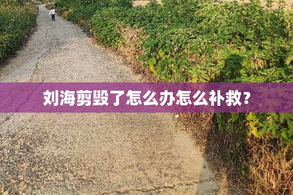 刘海剪毁了怎么办怎么补救？