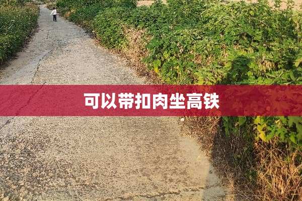 可以带扣肉坐高铁