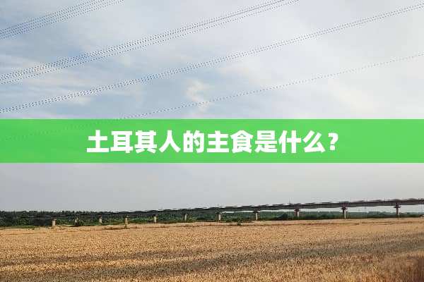 土耳其人的主食是什么？