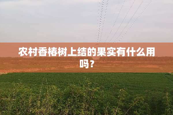 农村香椿树上结的果实有什么用吗？