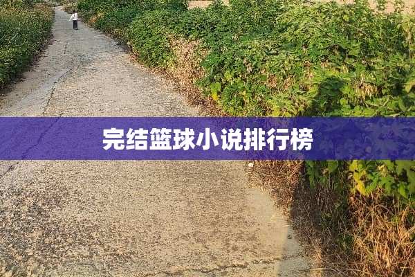 完结篮球小说排行榜