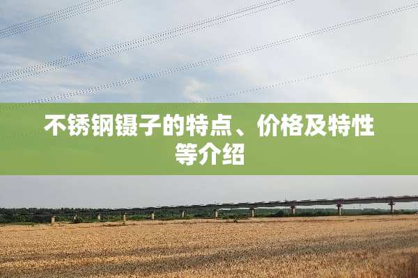 不锈钢镊子的特点、价格及特性等介绍
