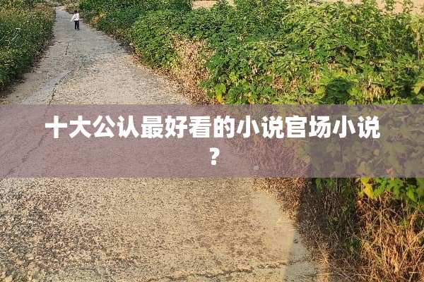 十大公认最好看的小说**小说？