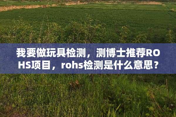 我要做玩具检测，测博士推荐ROHS项目，rohs检测是什么意思？