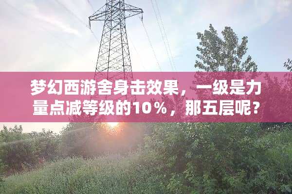 梦幻西游舍身击效果，一级是力量点减等级的10％，那五层呢？