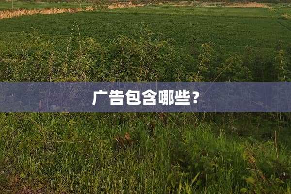 广告包含哪些？