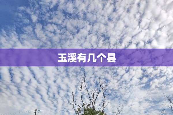 玉溪有几个县