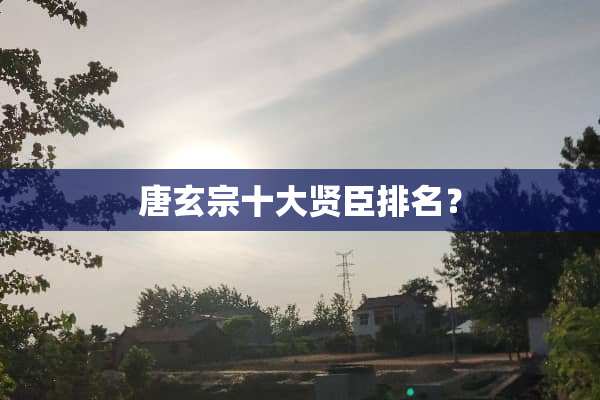 唐玄宗十大贤臣排名？