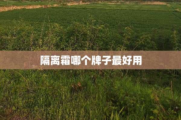 隔离霜哪个牌子最好用