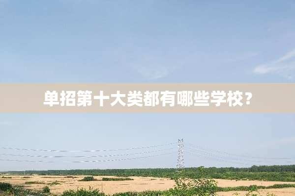 单招第十大类都有哪些学校？