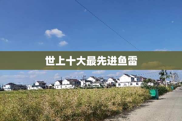 世上十大最先进鱼雷
