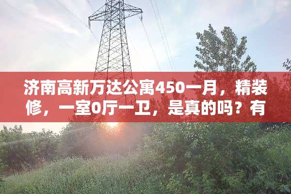 济南高新万达公寓450一月，精装修，一室0厅一卫，是真的吗？有人了解过吗？