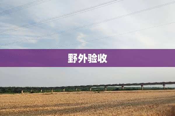 野外验收