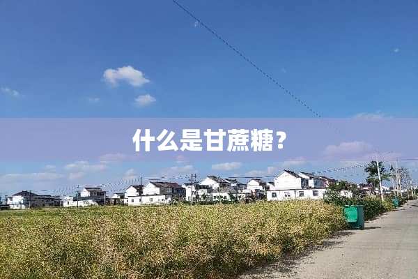 什么是甘蔗糖？