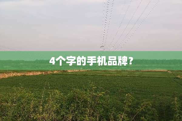 4个字的手机品牌？