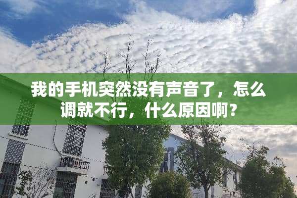 我的手机突然没有声音了，怎么调就不行，什么原因啊？