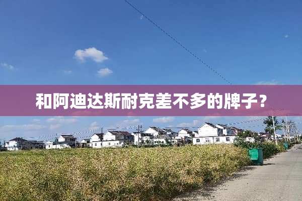 和阿迪达斯耐克差不多的牌子？