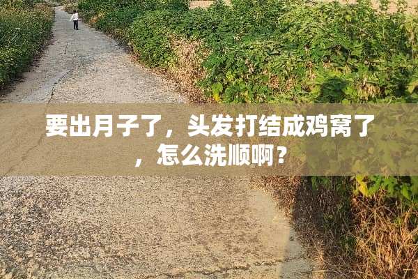 要出月子了，头发打结成鸡窝了，怎么洗顺啊？