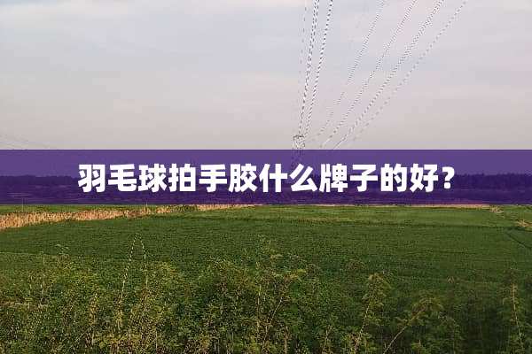 羽毛球拍手胶什么牌子的好？
