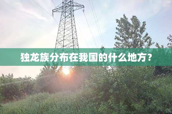 独龙族分布在我国的什么地方？