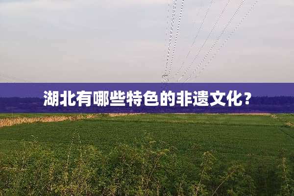 湖北有哪些特色的非遗文化？