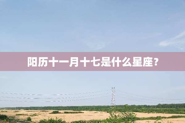 阳历十一月十七是什么星座？