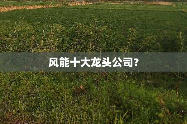 风能十大龙头公司？