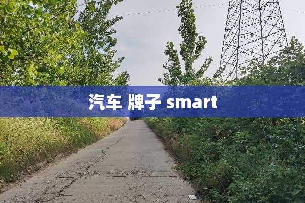 汽车 牌子 smart