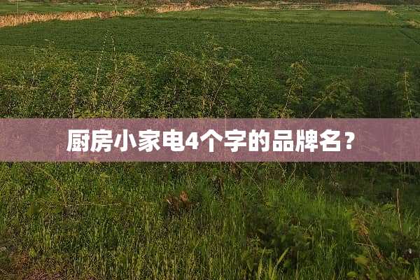 厨房小家电4个字的品牌名？