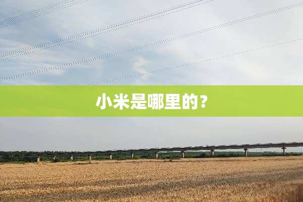 小米是哪里的？