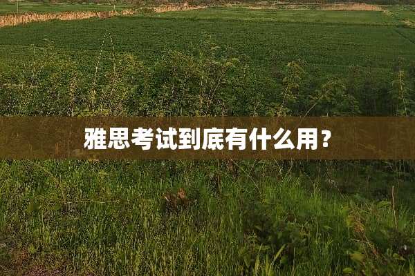 雅思考试到底有什么用？