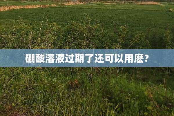 硼酸溶液过期了还可以用麽？