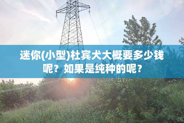 迷你(小型)杜宾犬大概要多少钱呢？如果是纯种的呢？