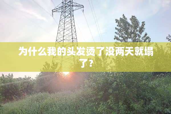 为什么我的头发烫了没两天就塌了？