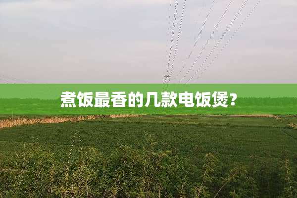 煮饭最香的几款电饭煲？