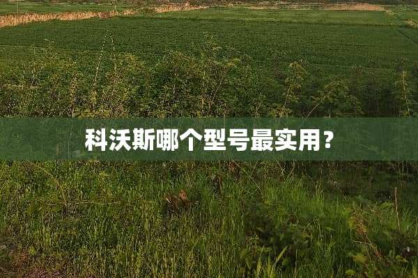 科沃斯哪个型号最实用？