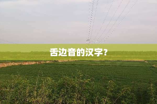 舌边音的汉字？