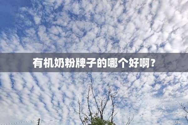 有机奶粉牌子的哪个好啊？