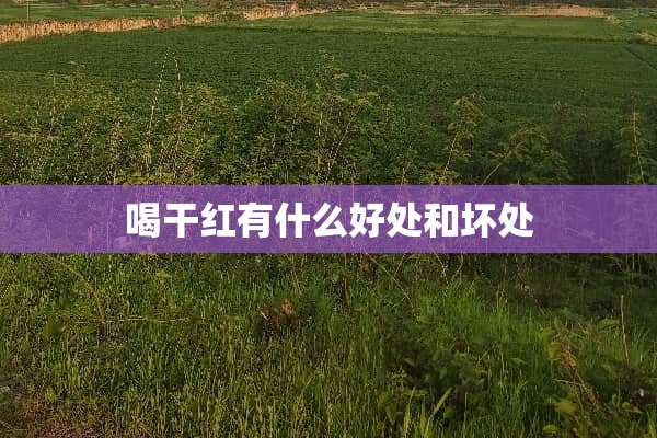 喝干红有什么好处和坏处