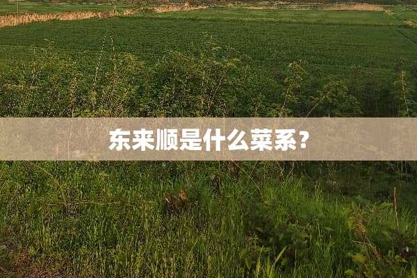 东来顺是什么菜系？