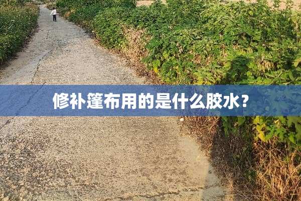 修补篷布用的是什么胶水？