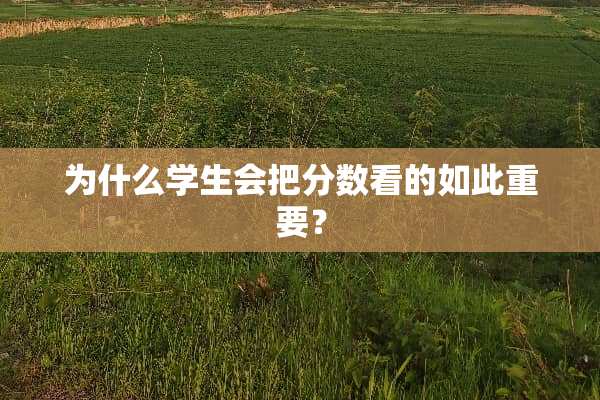 为什么学生会把分数看的如此重要？
