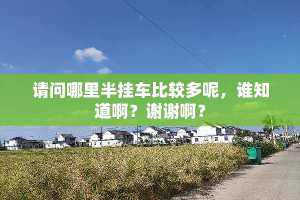 请问哪里半挂车比较多呢，谁知道啊？谢谢啊？