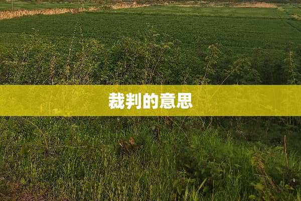 裁判的意思