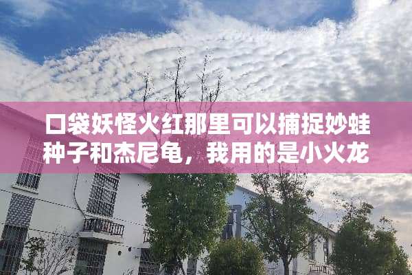 口袋妖怪火红那里可以捕捉妙蛙种子和杰尼龟，我用的是小火龙（386版）
