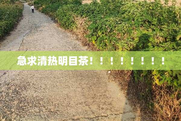 急求清热明目茶！！！！！！！！
